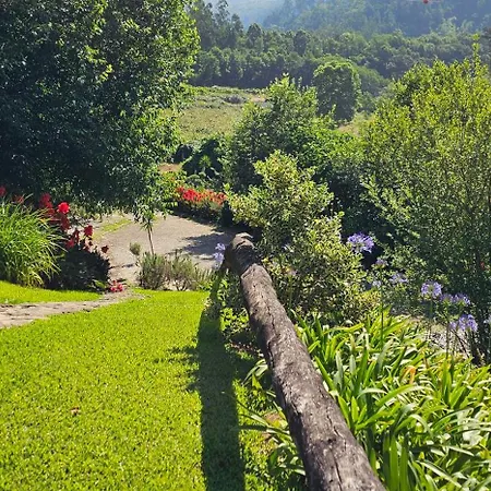 Rio Moment's Каштелу-ди-Пайва