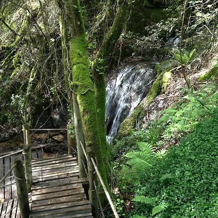 Rio Moment's Каштелу-ди-Пайва