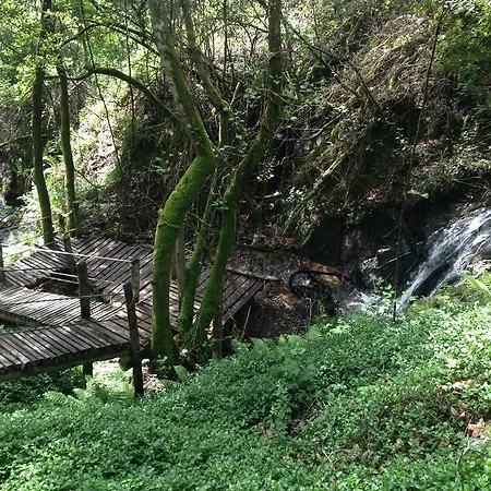 Rio Moment's Летний дом *