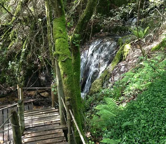 Rio Moment's Castelo de Paiva